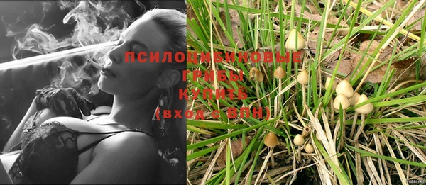 мескалин Алексеевка
